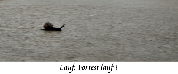 Lauf Forrest, lauf!!!