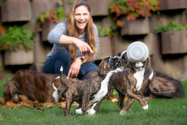 Lauf, Forrest, lauf!!