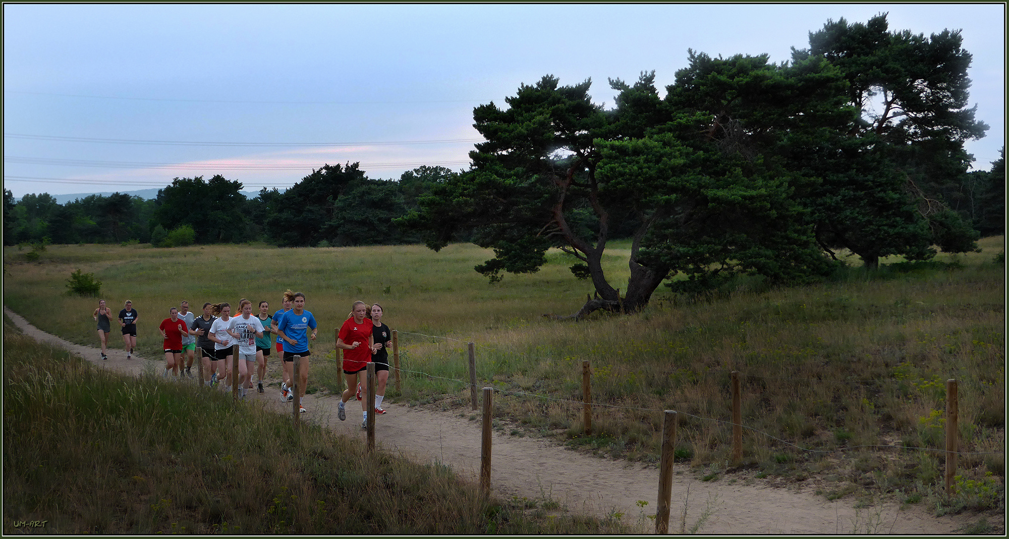 Lauf im Natur..