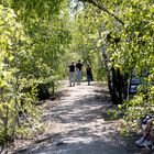 Lauf in den Frühling