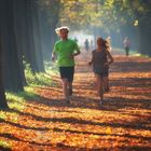 Lauf in den Herbst