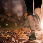 Lauf in den herbst