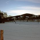 Lauf in die Dämmerung ...