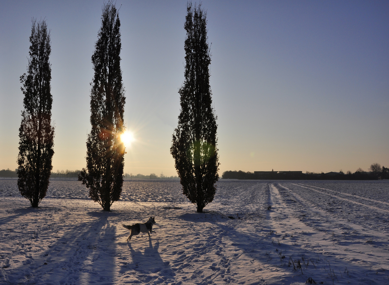 Lauf in die Sonne