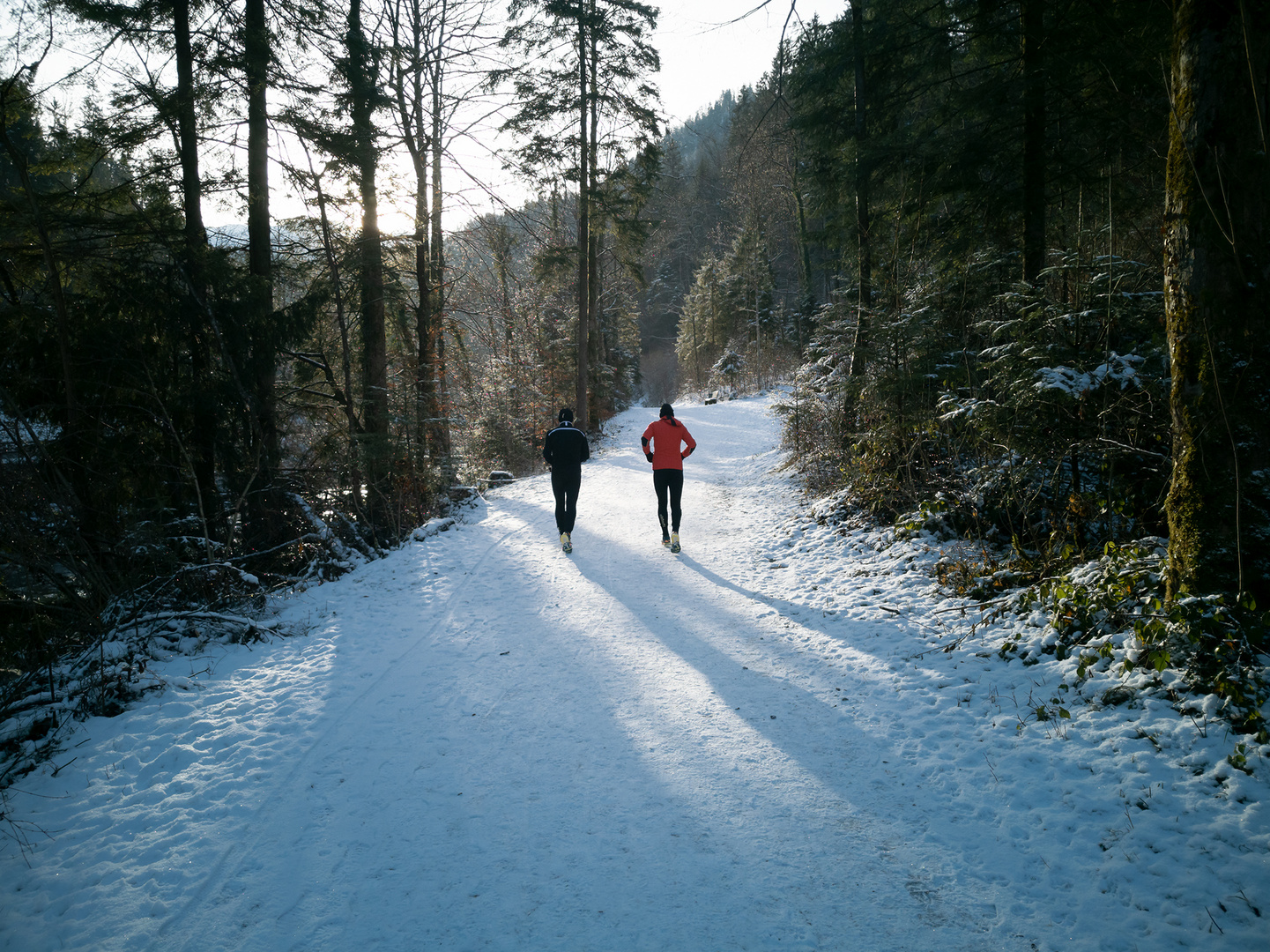 Lauf ins neue Jahr