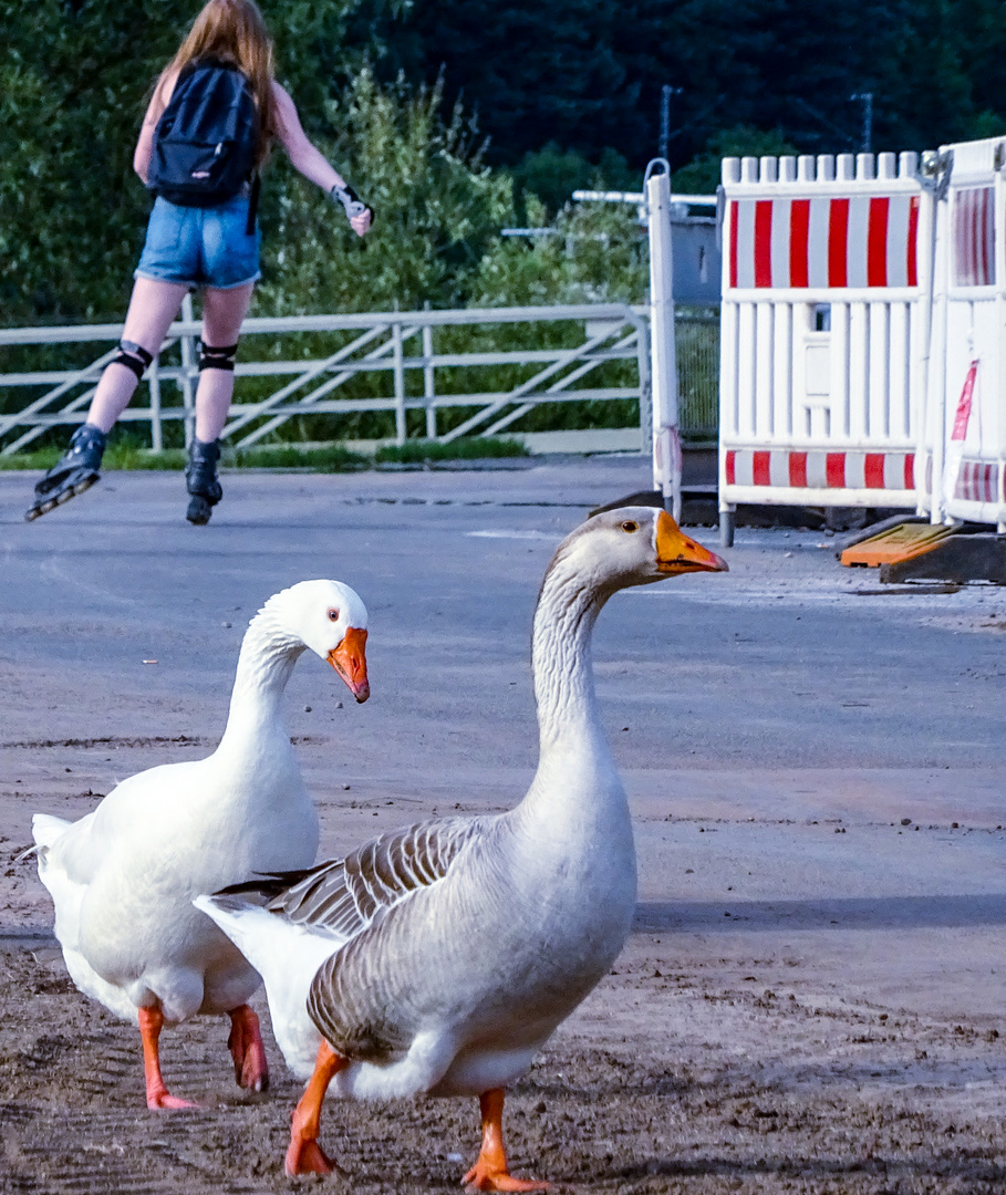 Lauf mal wieder