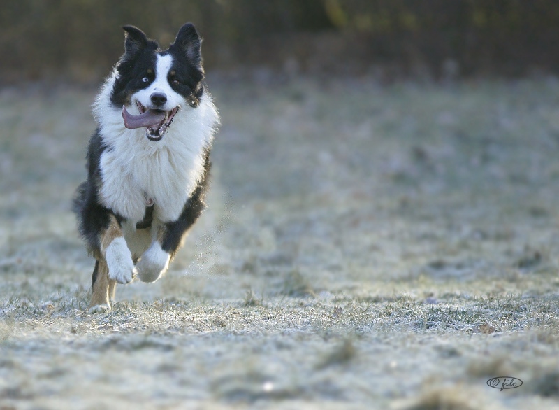 Lauf, Rubi Lauf!