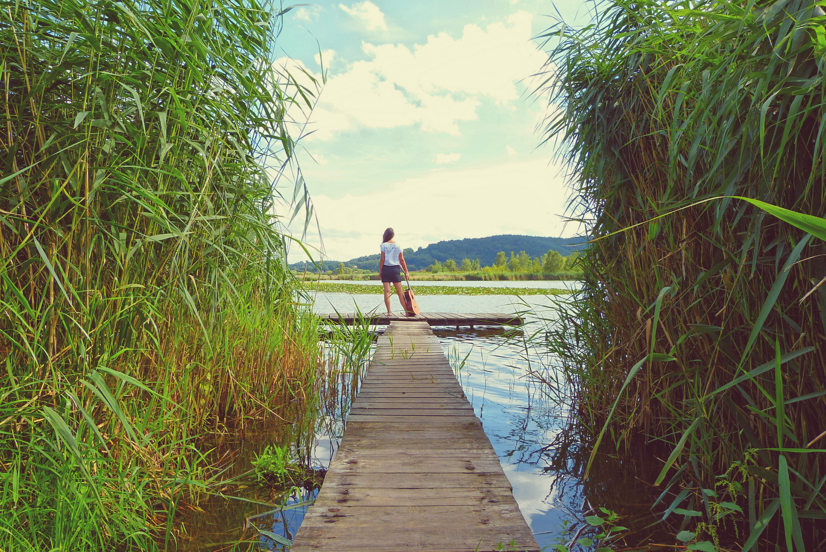 Lauf-Steg