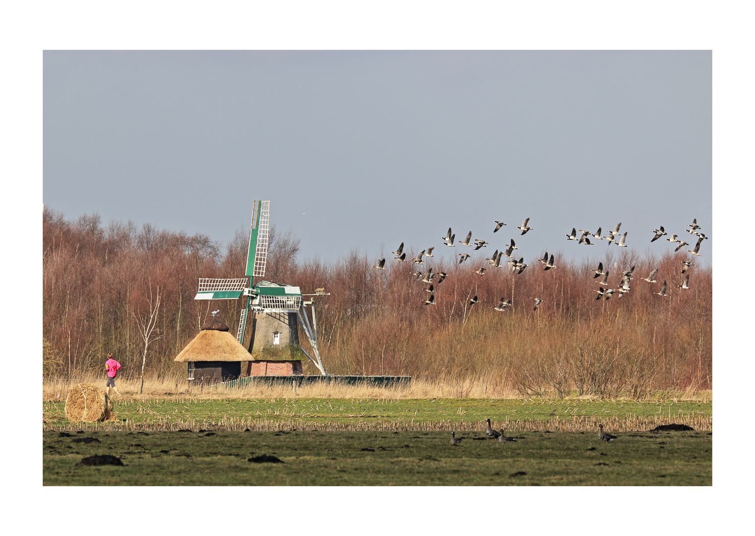 Lauf- und Flugtraining