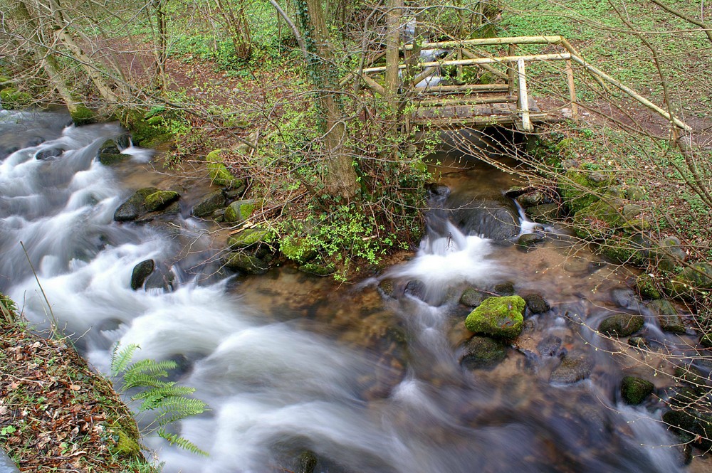 Laufbach und Lautenbächle