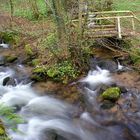 Laufbach und Lautenbächle