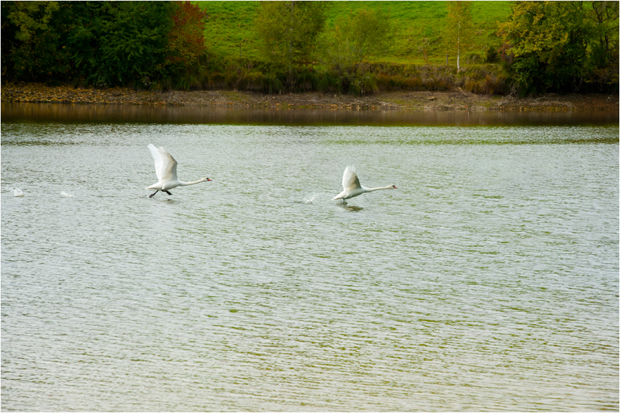 Laufen auf dem Wasser