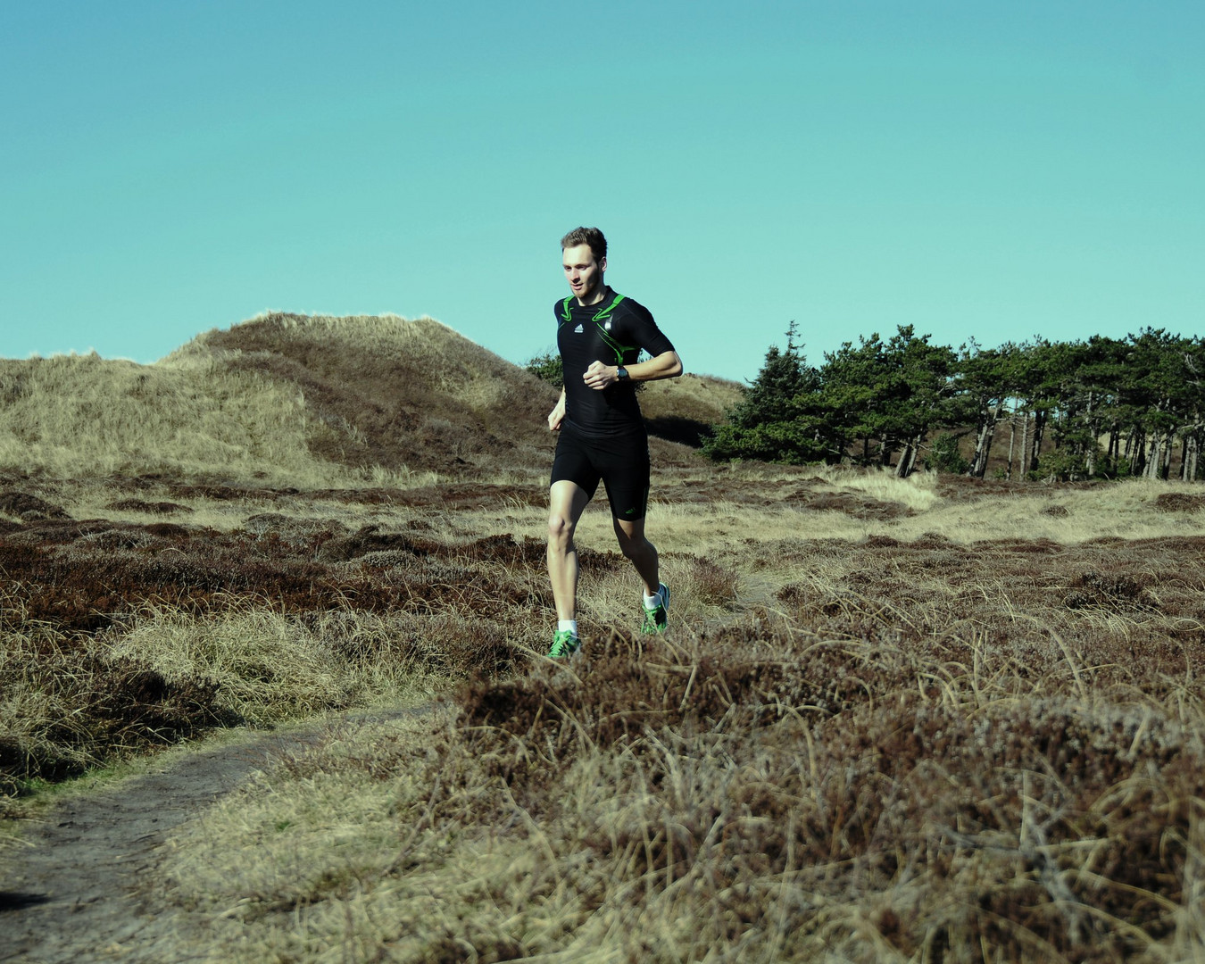 Laufen auf Texel durch die Dünen und den Wald