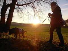 Laufen ist wichtig