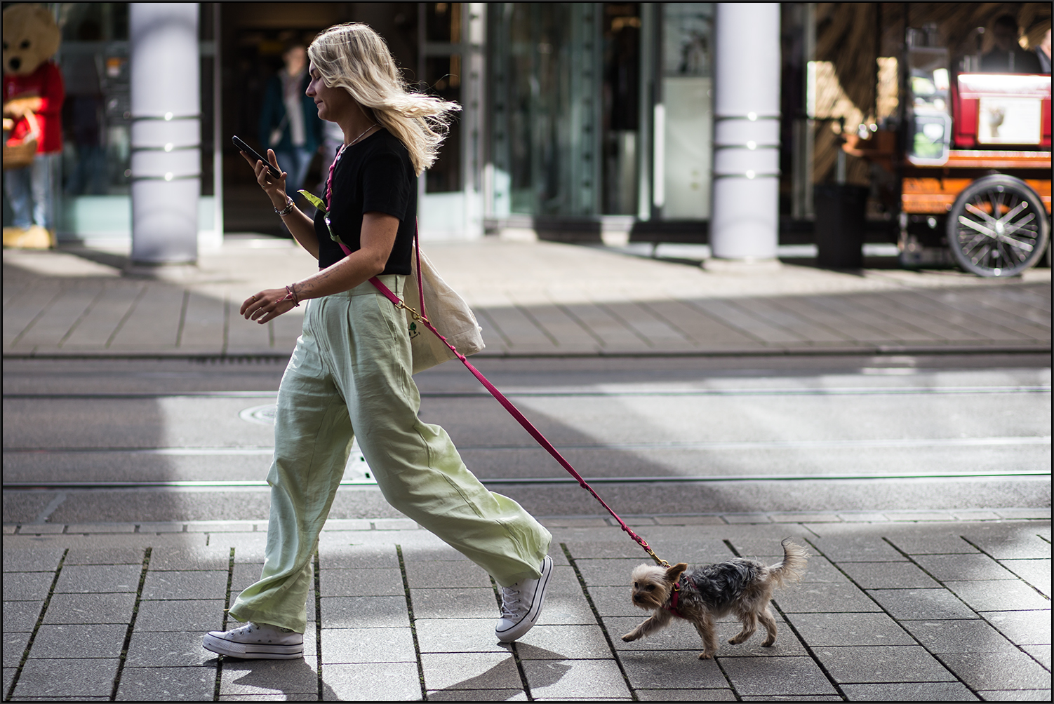 Laufen mit Hund