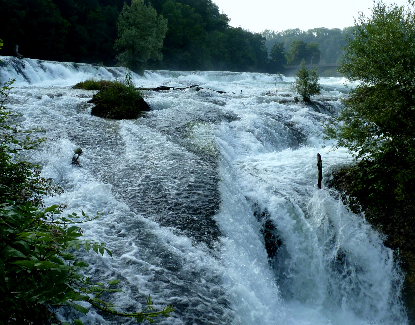 Laufen (ZH)...04