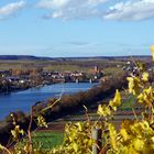 Lauffen am Neckar