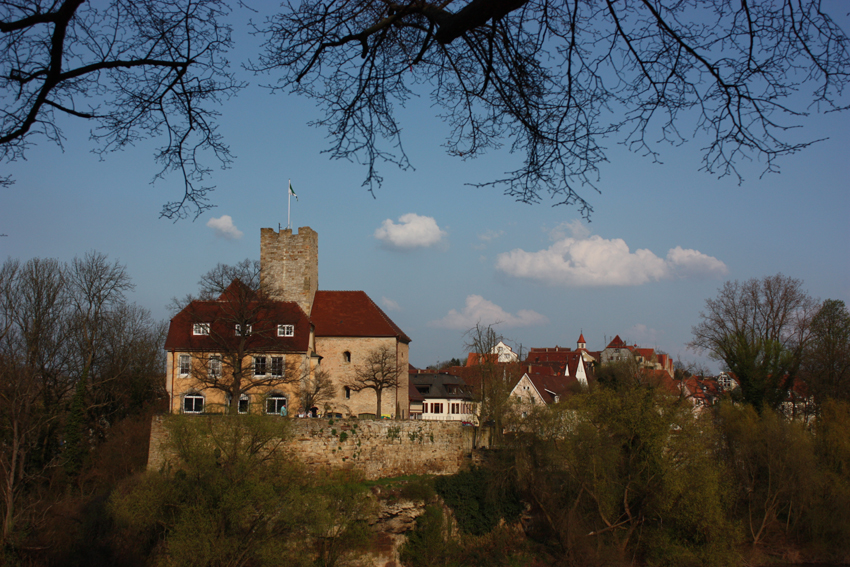 Lauffen_Pfalzgrafenburg 1