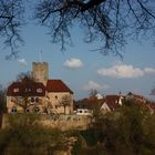 Lauffen_Pfalzgrafenburg 1