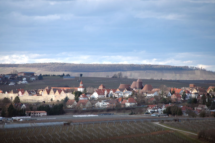 Lauffens Altstadt mit Heuchelberg