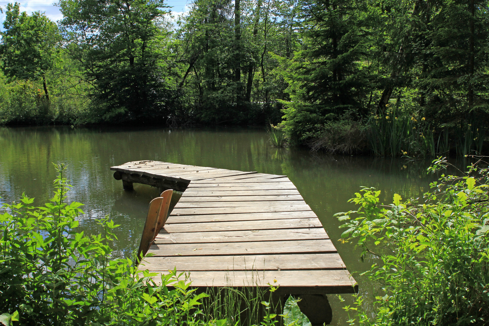 Laufsteg über einen Weiher bei Reichshof-Heidberg NRW