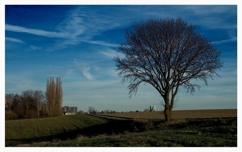 Laufstrecken-Impression