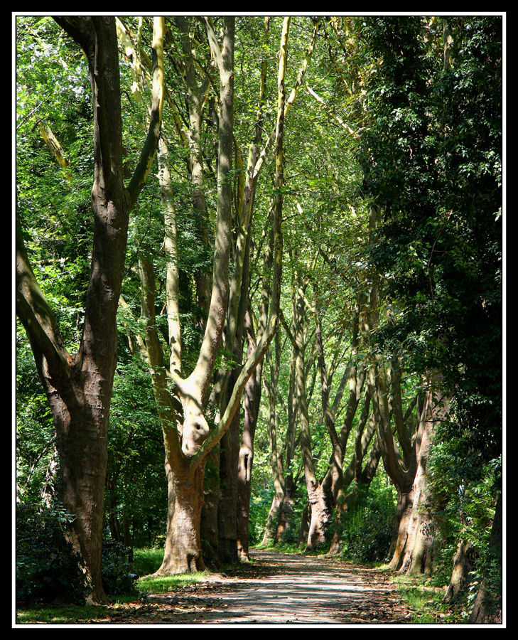 lauf+weg