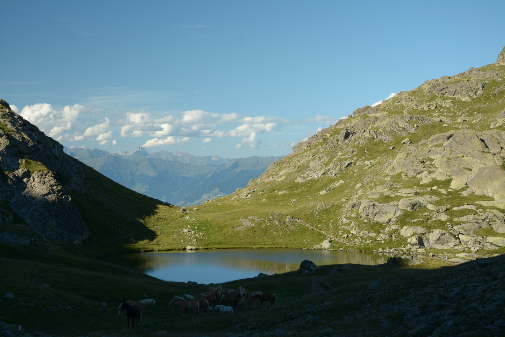 Laugensee