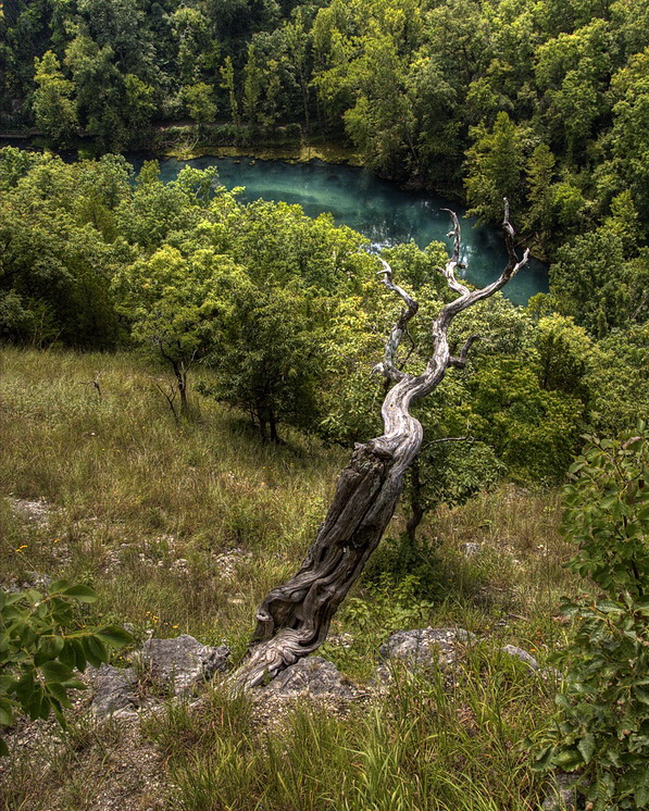 Laughing waters spring view