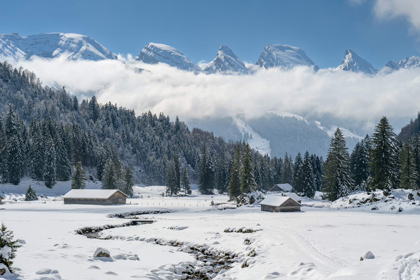 Laui Unterwasser, Toggenburg