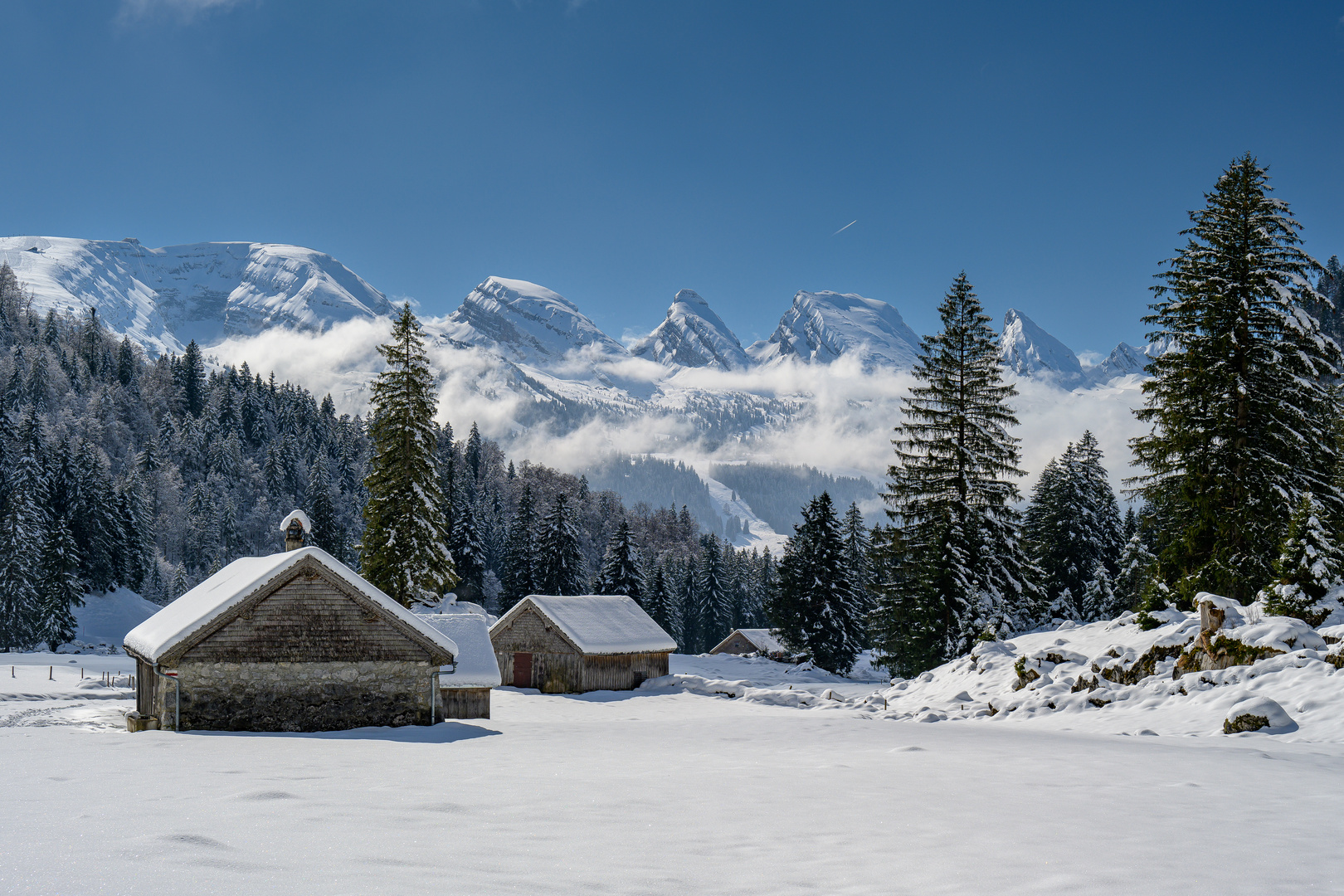 Laui Unterwasser, Toggenburg