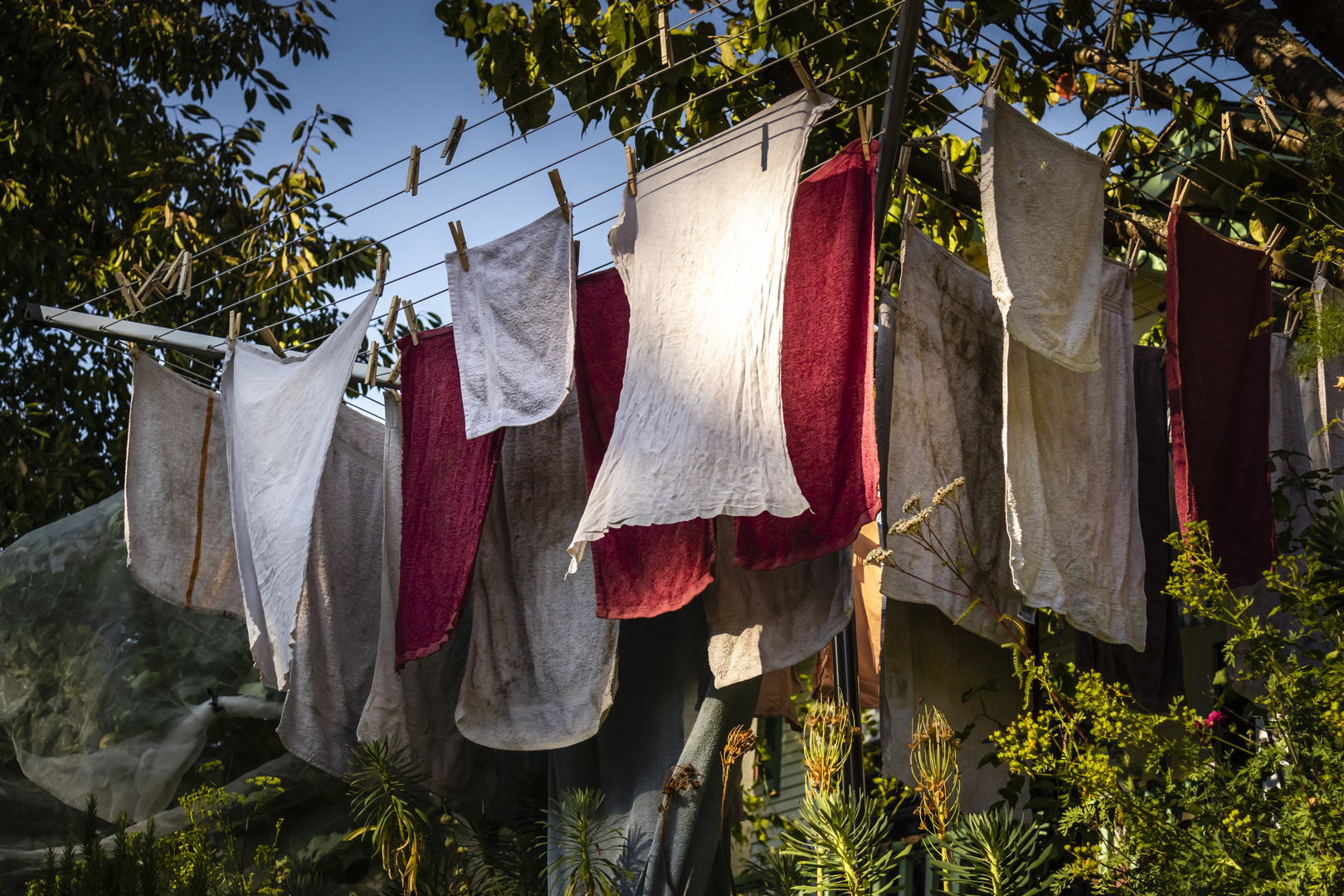 Laundry