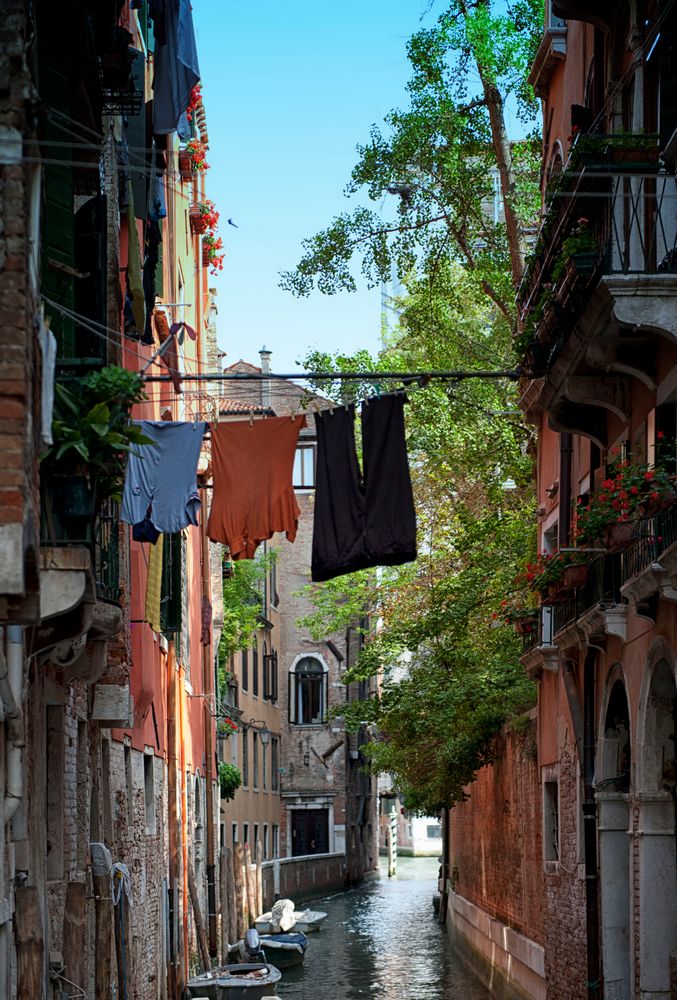 Laundry dryer