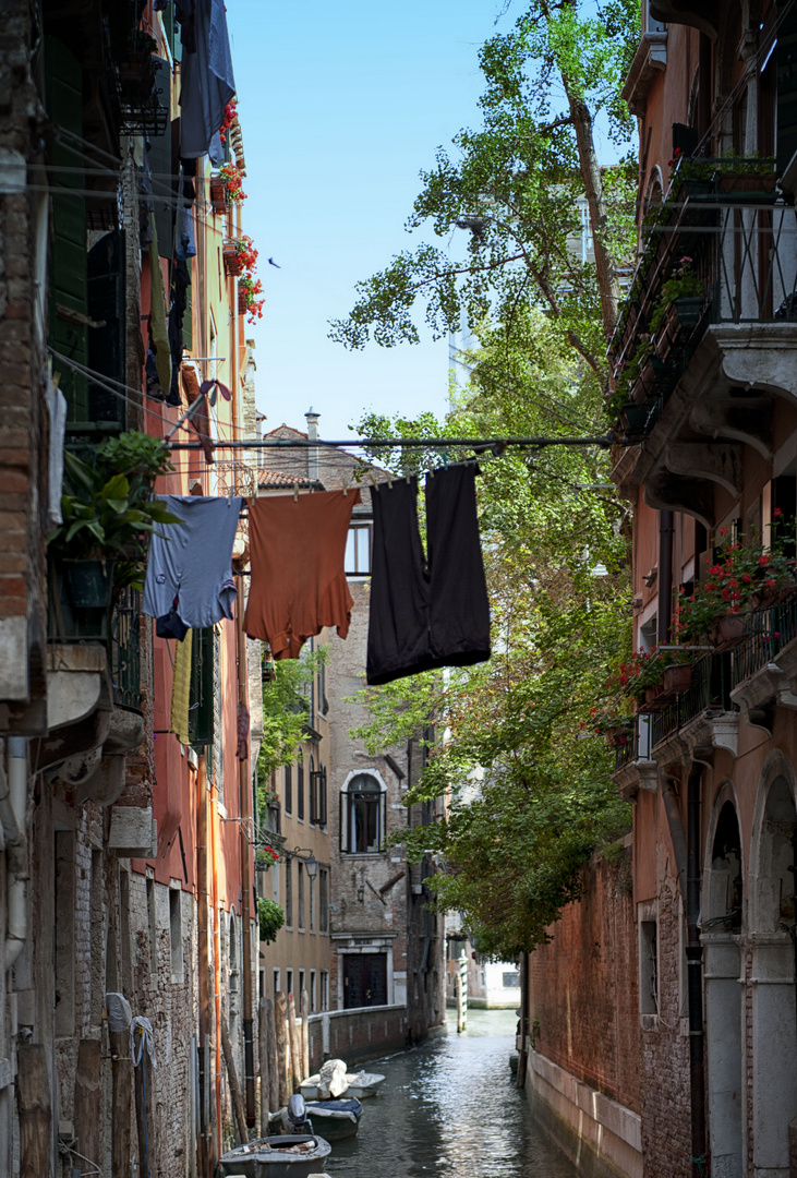 Laundry dryer