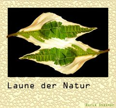 Laune der Natur