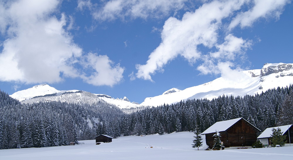 Launen der Natur....tiefer Winter im April