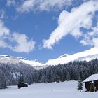 Launen der Natur....tiefer Winter im April