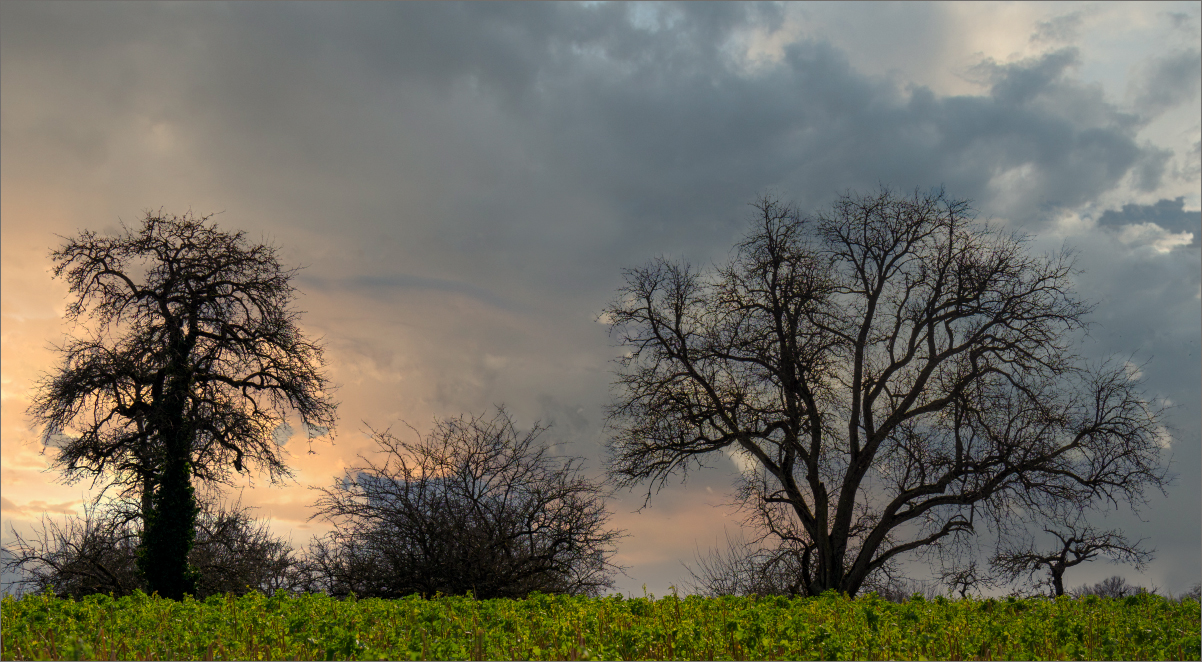 Launisches Wetter