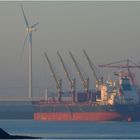 LAURA, Bulk Carrier, Rotterdam.