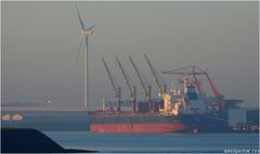 LAURA, Bulk Carrier, Rotterdam.