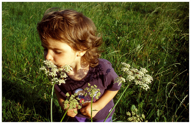 Laura sagt, diese Blume riecht komisch