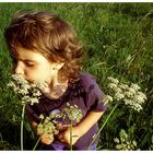 Laura sagt, diese Blume riecht komisch