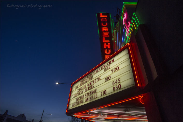 LAURELHURST and Moon 