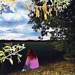 lausche der stille der natur - und du wirst so manchen klaren gedanken hören