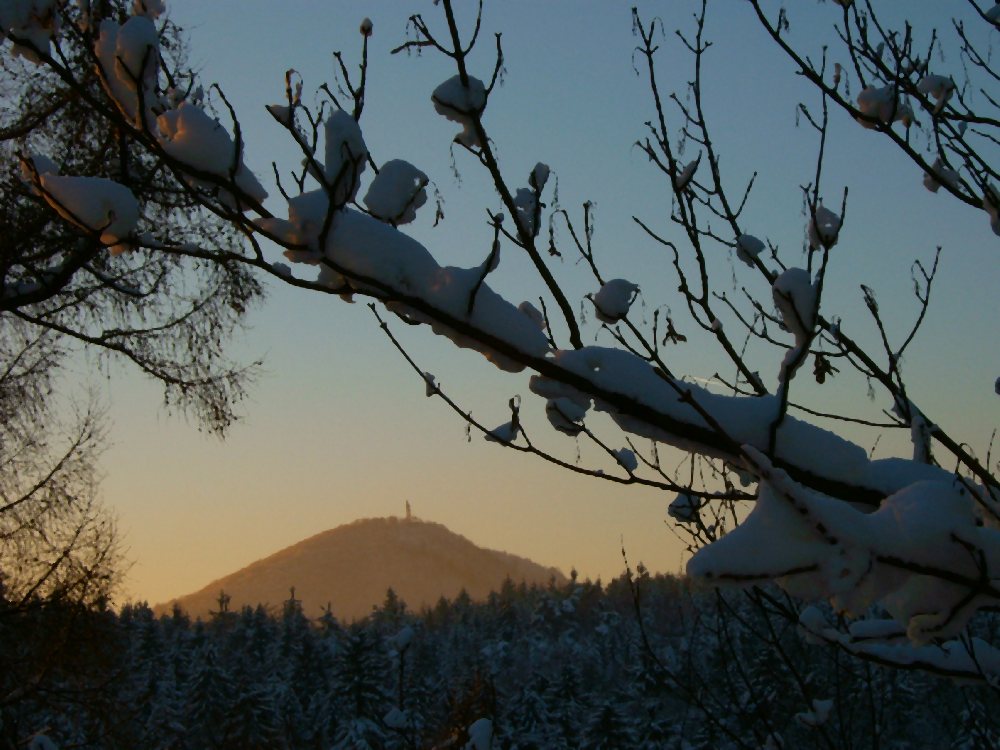 Lausche im Abendlicht