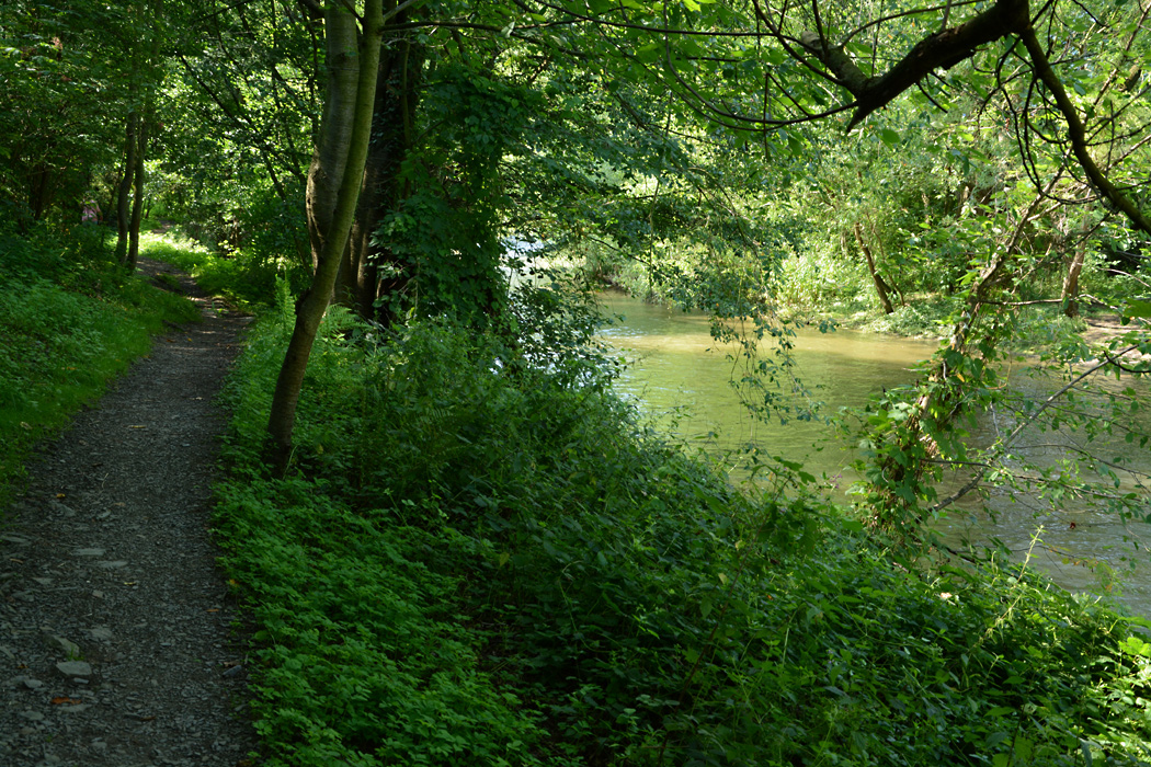 Lauschiger Wanderweg entlang der Ahr