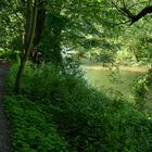 Lauschiger Wanderweg entlang der Ahr