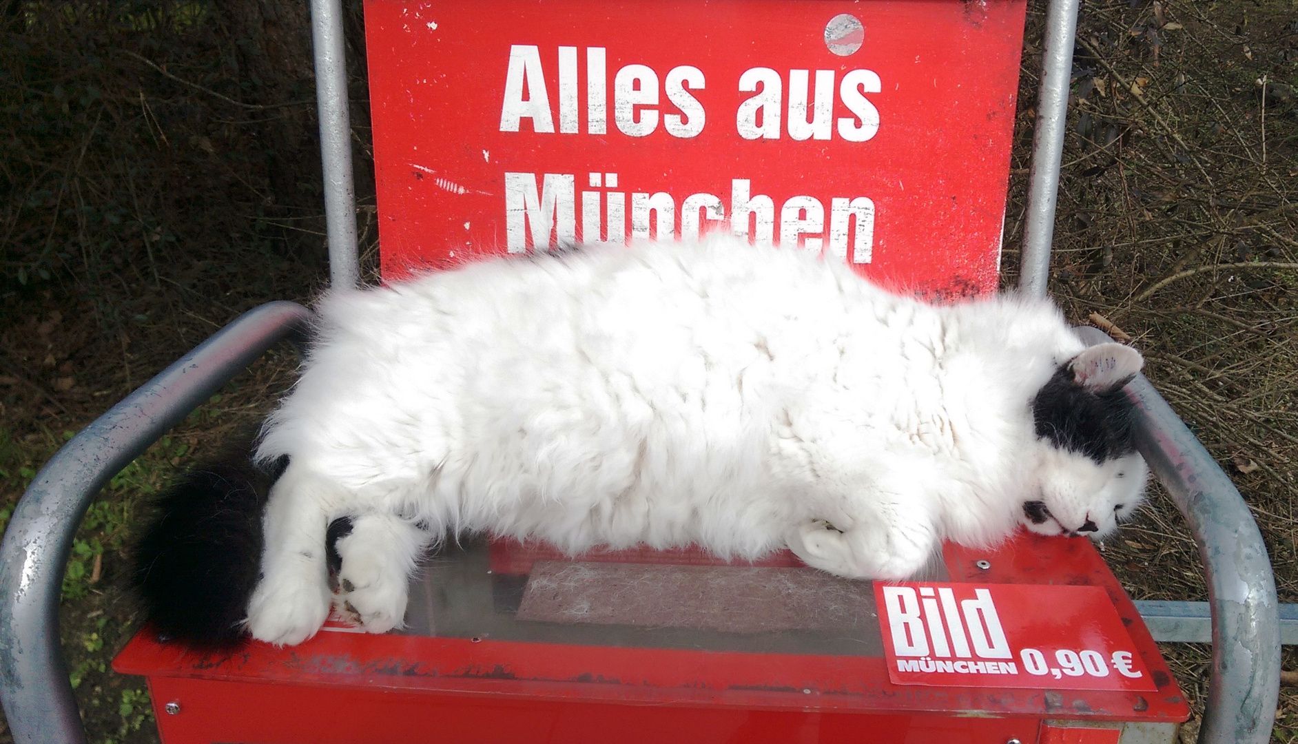 Lauschiges Plätzchen...