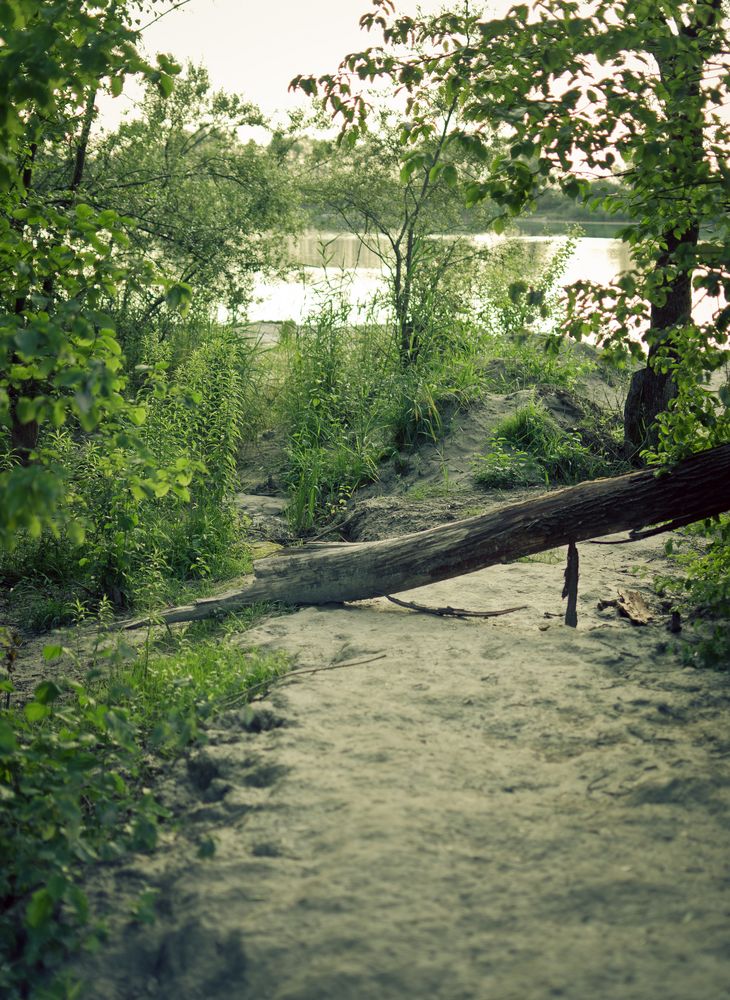 Lauschiges Plätzchen am Baggersee von BlackForestboy 