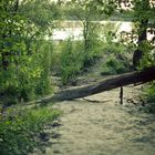 Lauschiges Plätzchen am Baggersee